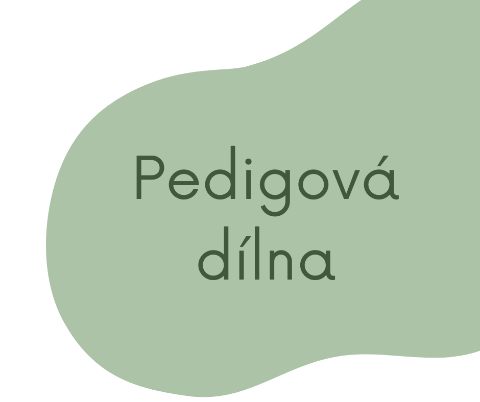 PLETENÍ Z PEDIGU