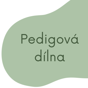 PLETENÍ Z PEDIGU